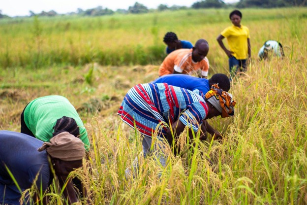 Agro Heroes Plan